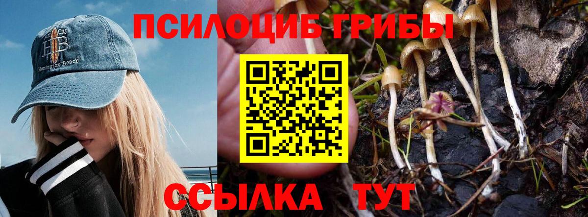 Пыть-Ях  Псилоцибиновые грибы Cubensis  Вход с VPN  Псилоцибиновые грибы прущие грибы 